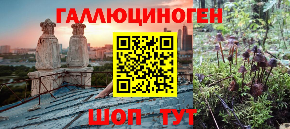 Галлюциногенные грибы мухоморы Малоярославец