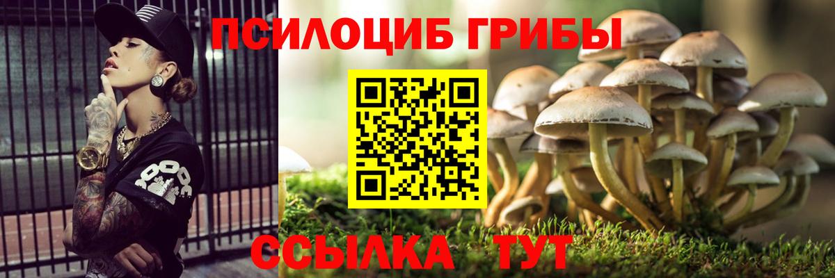 Малоярославец  Псилоцибиновые грибы Cubensis  Вход с VPN 